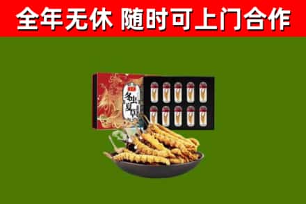 孝感回收冬虫夏草价格